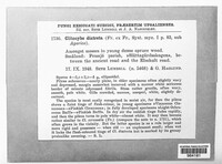 Image Associated With the Occurence